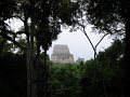 60 tempel